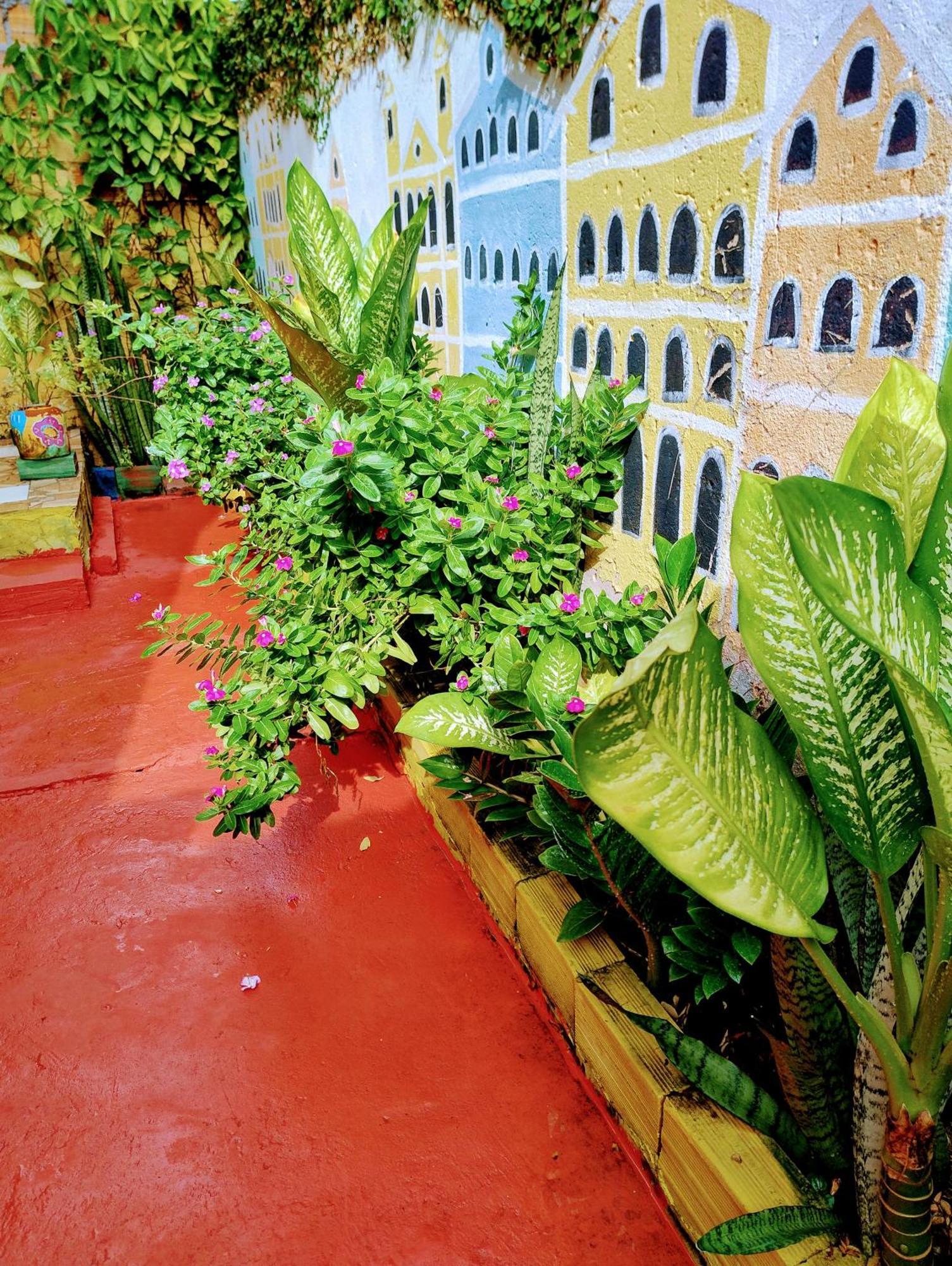 Perto Do Aeroporto De Salvador - Dona Pitanga Hostel ラウロ・ジ・フレイタス エクステリア 写真