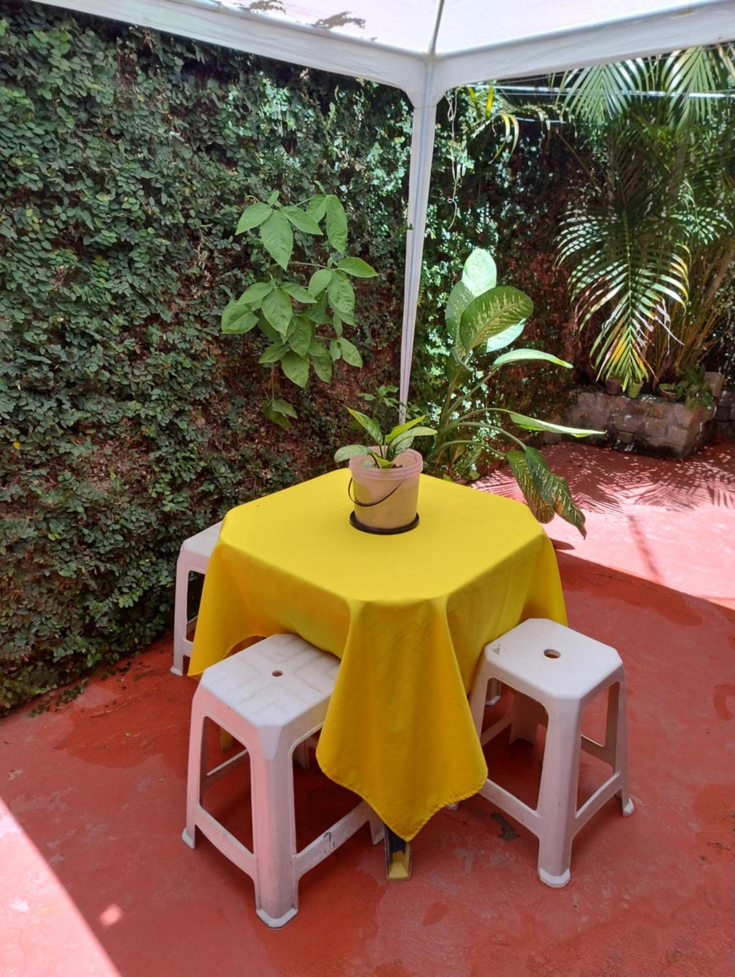 Perto Do Aeroporto De Salvador - Dona Pitanga Hostel ラウロ・ジ・フレイタス エクステリア 写真