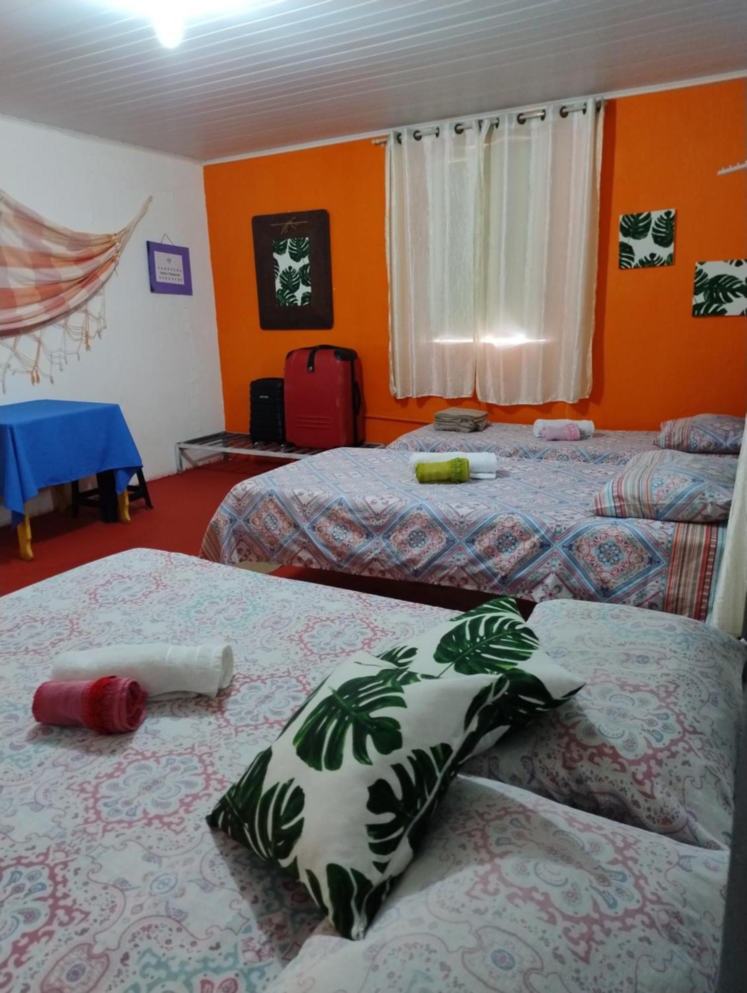 Perto Do Aeroporto De Salvador - Dona Pitanga Hostel ラウロ・ジ・フレイタス エクステリア 写真