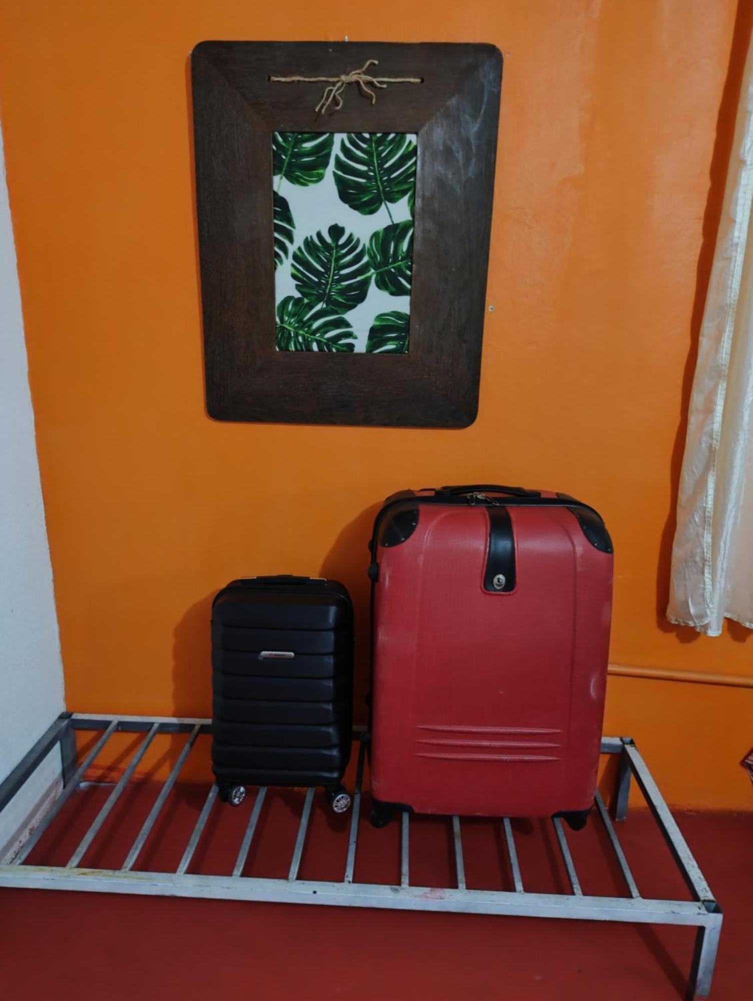 Perto Do Aeroporto De Salvador - Dona Pitanga Hostel ラウロ・ジ・フレイタス エクステリア 写真